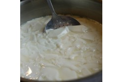 Хімозін