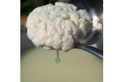 Сычужный фермент( пепсин)