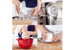 Сычужный Фермент (ПЕПСИН) жидкий