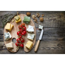 Закваски для сирів