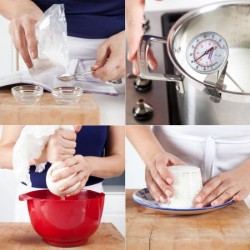 Фермент для сиру